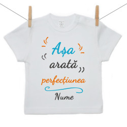 Tricou cu mânecă scurtă Așa arată perfecțiunea